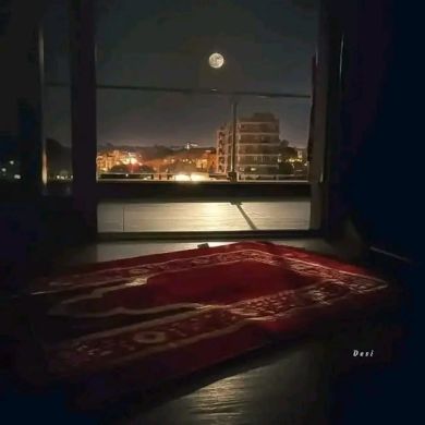 Weliya Bint Meryem Profile Picture