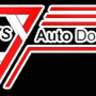 DVS Auto Door