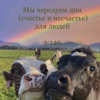 Алиии Наа Profile Picture