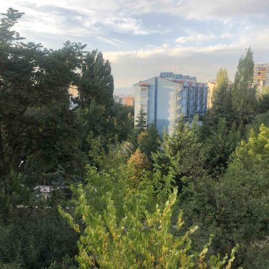 Lutfiddin h Profile Picture