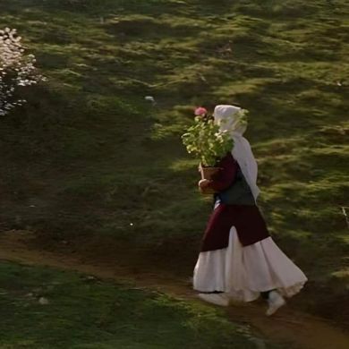 Gül Çelik profile picture