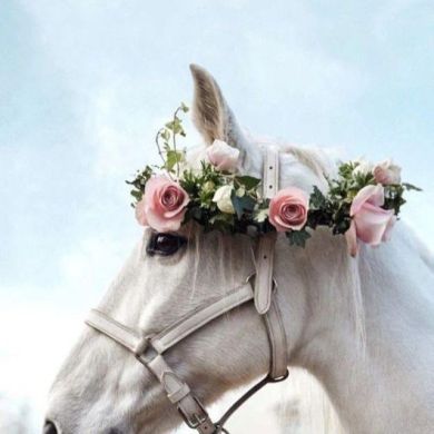 Sabran Ya nafsiy profile picture