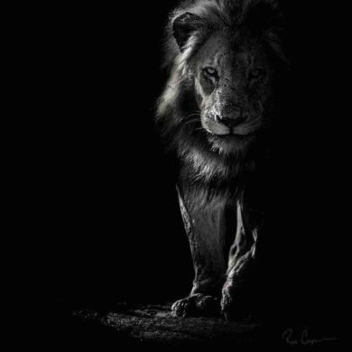 Abuabdulloh Oyatullohi Shermuhammad