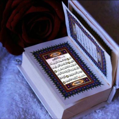 hanan abdullah Profile Picture