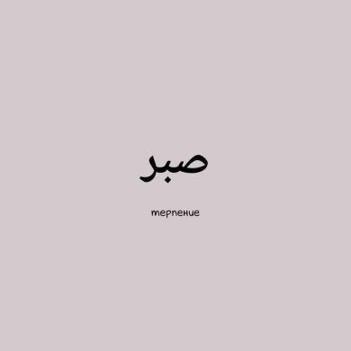 abrek_zelimkhan Profile Picture