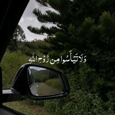 سلمى الناوي