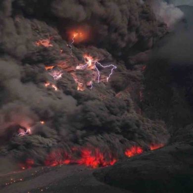 Амир Бозиев Profile Picture