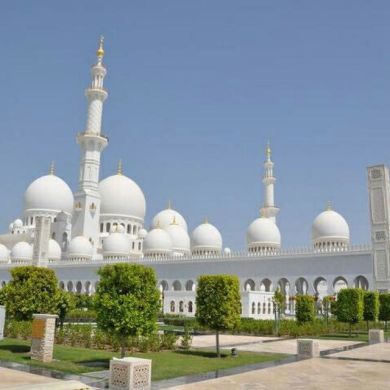 Ikromjon Ziyatov Profile Picture