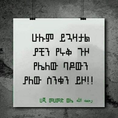 ibnu ousman Al habeshy Profile Picture