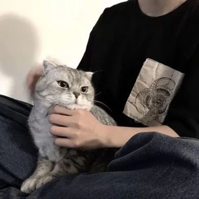 Xamidulloh Profile Picture