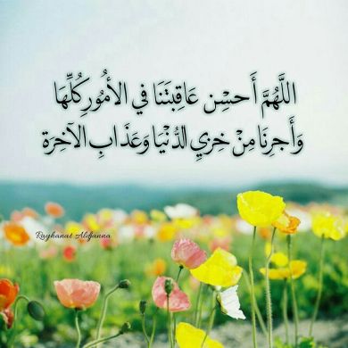 ummkhalid 7272 Profile Picture