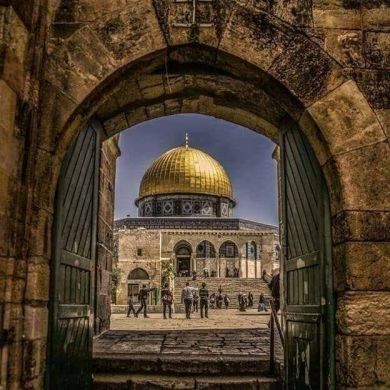 Nourhouda jarray Profile Picture