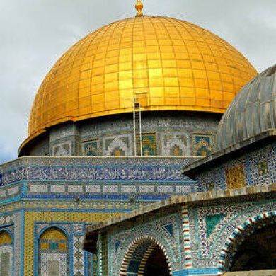 anas an Profile Picture