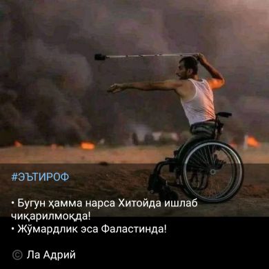 Shaxboz Mahmudov Profile Picture