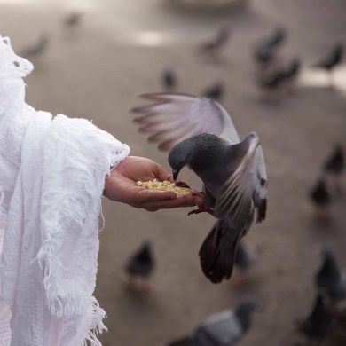 Samira Alieva Profile Picture