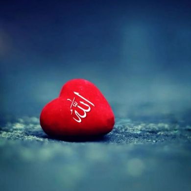 Hussein jemal Profile Picture