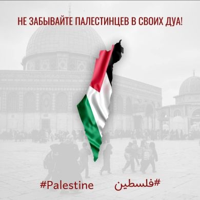 Абу Амир Profile Picture