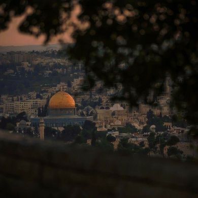 فاطمة بنت حمزة Profile Picture