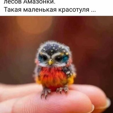 May Hadi Profile Picture