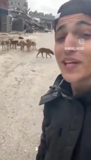 Объединённая Умма || Газа    Брат-палестинец говор.. | Минбар Света