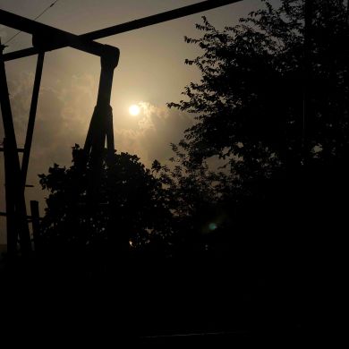 fatima nurmagomedova Profile Picture