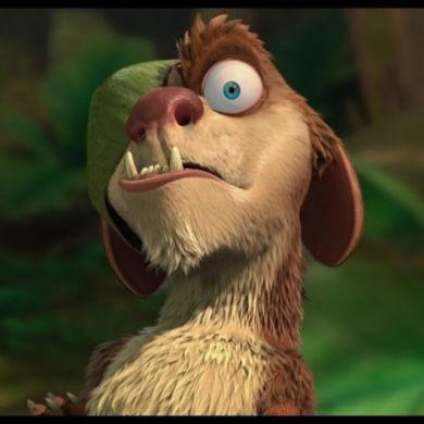 Damir NET Profile Picture