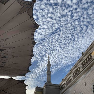 makoyunusov Profile Picture