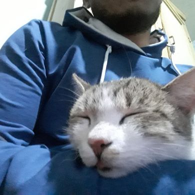 Sanjar Boydadaev profile picture