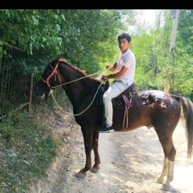 hoji_akbar2006 Profile Picture