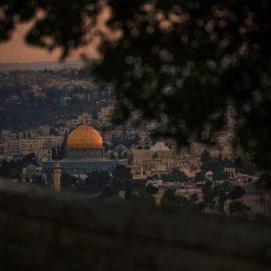 Улугбек Махмудов