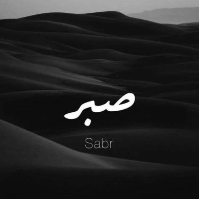 Шамиля Боровикова Profile Picture