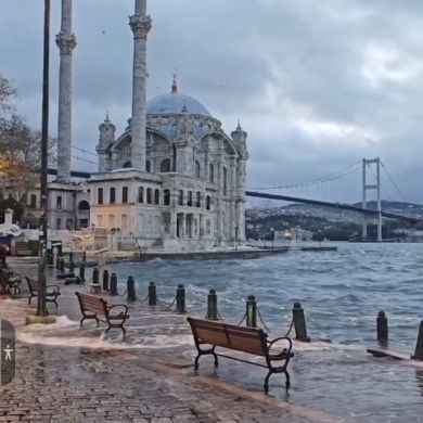 umma1710235955 Profile Picture