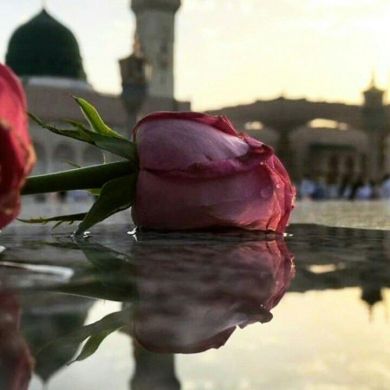 Нафиса Хадятуллаева