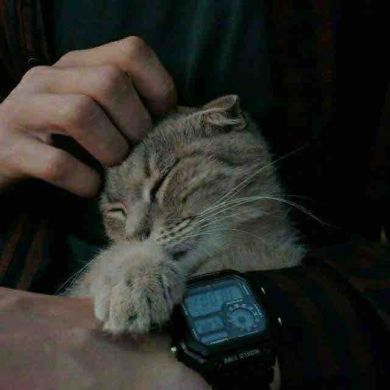 Boburjon Muhammadov Profile Picture