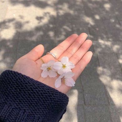 bintu_aziz Profile Picture