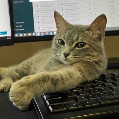 Odilbek Eliboyev Profile Picture