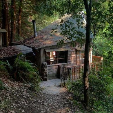 العقد الفريد Profile Picture