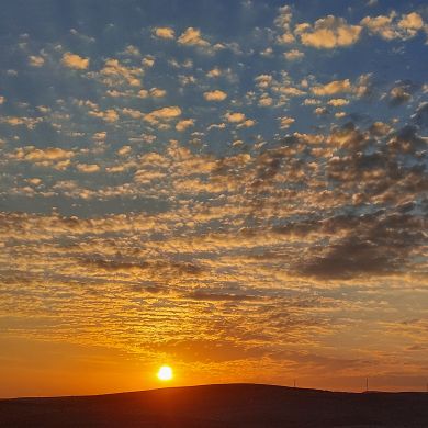 Nurimuhammad Omonov profile picture