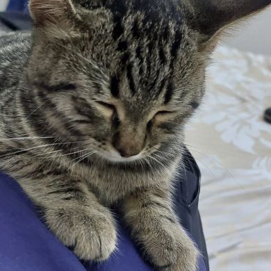 İmran Sultanov Profile Picture