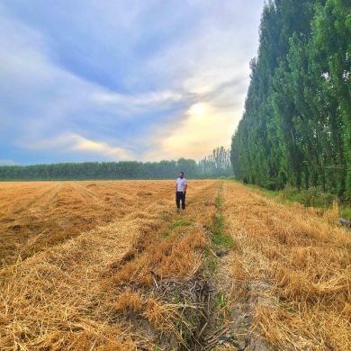 ammor kariyev Profile Picture