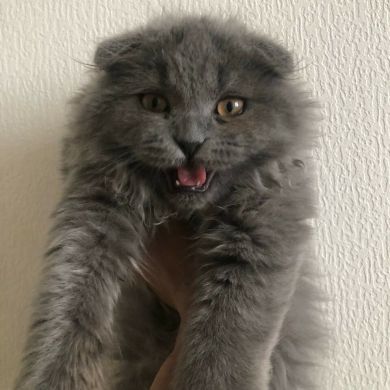 Nurmuhammad Umurzakov