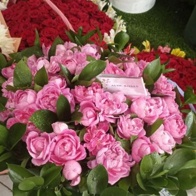 Nargiza Ahmedova Profile Picture