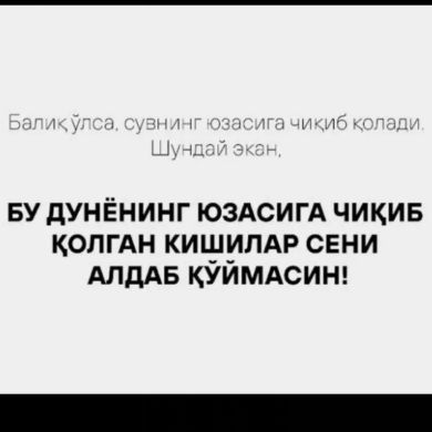 Икромжон Мухаммадиев Profile Picture