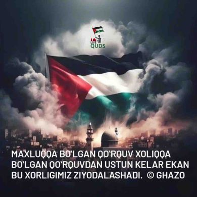 Muhammadali Polvonov Profile Picture