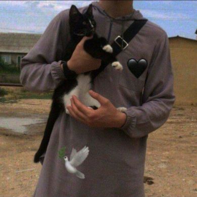 Muhammad kamron ibn temur maxmudov Profile Picture