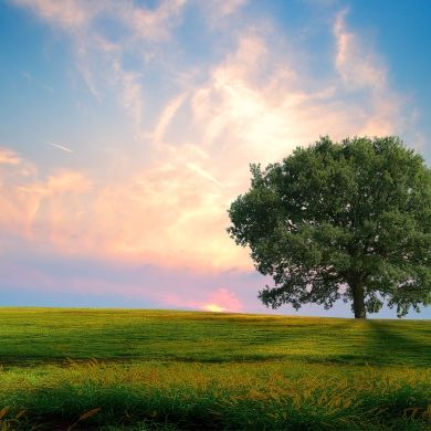 Bekhzod Khamidov Profile Picture