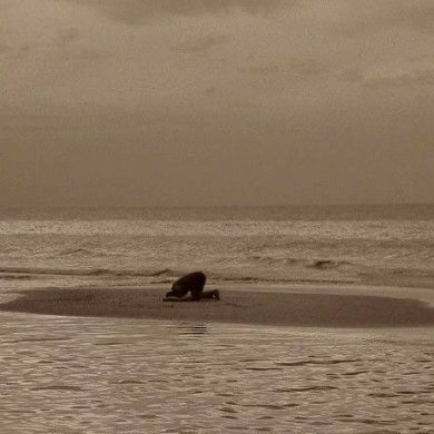 fffiysabilillah Profile Picture