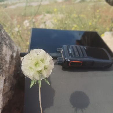 umma1709433109 Profile Picture