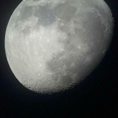 ummaali profile picture