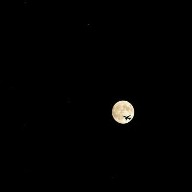 بنت أيوب Profile Picture